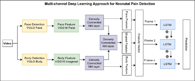 Figure 2 for Multi-Channel Neural Network for Assessing Neonatal Pain from Videos