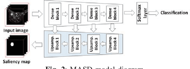 Figure 2 for Model Agnostic Saliency for Weakly Supervised Lesion Detection from Breast DCE-MRI