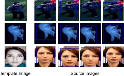 Figure 4 for Deep-LK for Efficient Adaptive Object Tracking