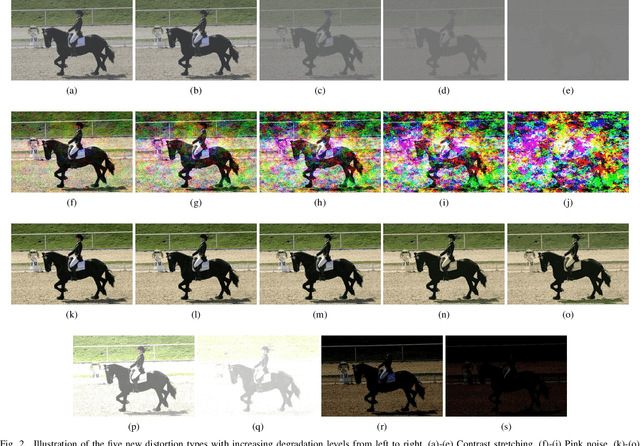 Figure 2 for Blind Image Quality Assessment Using A Deep Bilinear Convolutional Neural Network