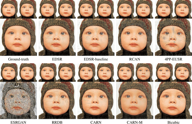 Figure 3 for Evaluating Robustness of Deep Image Super-Resolution against Adversarial Attacks