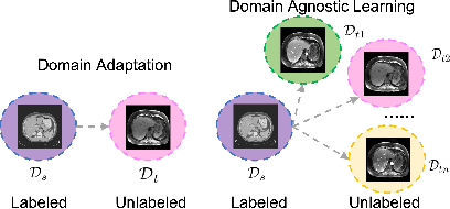 Figure 1 for Domain-Agnostic Learning with Anatomy-Consistent Embedding for Cross-Modality Liver Segmentation