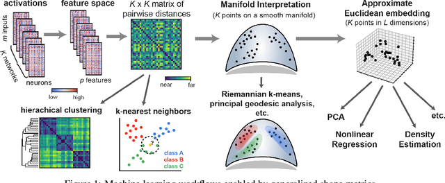 Figure 1 for Generalized Shape Metrics on Neural Representations