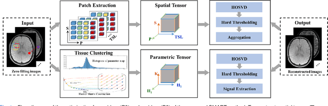 Figure 1 for Accelerating Magnetic Resonance Parametric Mapping Using Simultaneously Spatial Patch-based and Parametric Group-based Low-rank Tensors (SMART)