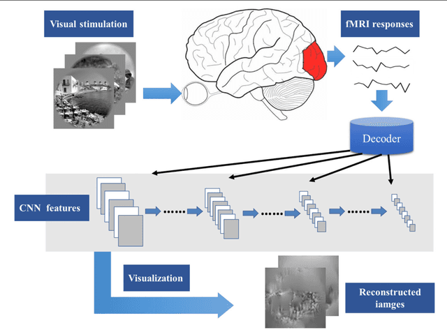 Figure 1 for Constraint-free Natural Image Reconstruction from fMRI Signals Based on Convolutional Neural Network