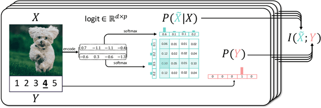 Figure 1 for Discrete Infomax Codes for Meta-Learning