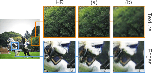 Figure 3 for SROBB: Targeted Perceptual Loss for Single Image Super-Resolution