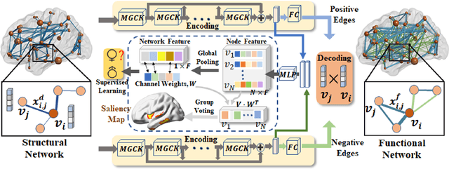 Figure 3 for Deep Representation Learning For Multimodal Brain Networks