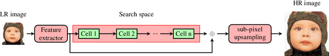 Figure 1 for Multi-Objective Reinforced Evolution in Mobile Neural Architecture Search