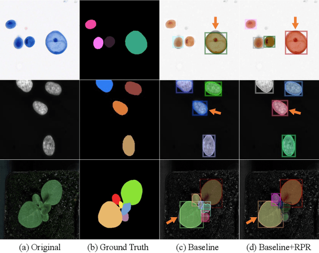 Figure 4 for Region Proposal Rectification Towards Robust Instance Segmentation of Biological Images