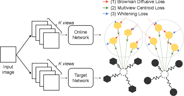 Figure 1 for An Embedding-Dynamic Approach to Self-supervised Learning