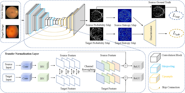 Figure 2 for Unsupervised Domain Adaptation for Retinal Vessel Segmentation with Adversarial Learning and Transfer Normalization