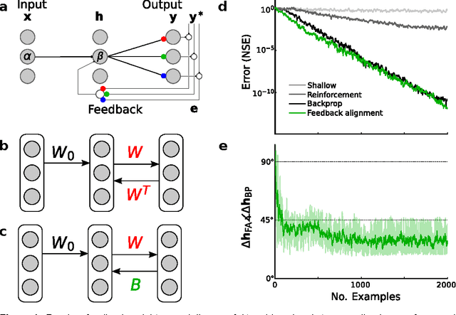 Figure 1 for Random feedback weights support learning in deep neural networks