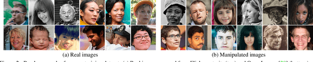Figure 2 for Detecting Photoshopped Faces by Scripting Photoshop