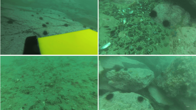 Figure 1 for UDD: An Underwater Open-sea Farm Object Detection Dataset for Underwater Robot Picking