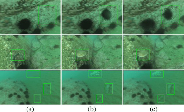 Figure 3 for UDD: An Underwater Open-sea Farm Object Detection Dataset for Underwater Robot Picking
