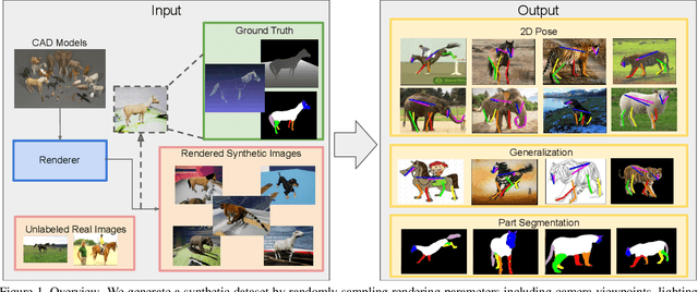 Figure 1 for Learning from Synthetic Animals