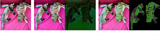 Figure 4 for A Differentiable Color Filter for Generating Unrestricted Adversarial Images
