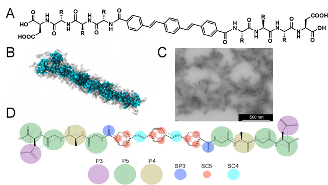 Figure 1 for Discovery of Self-Assembling $π$-Conjugated Peptides by Active Learning-Directed Coarse-Grained Molecular Simulation