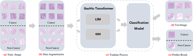 Figure 1 for GasHis-Transformer: A Multi-scale Visual Transformer Approach for Gastric Histopathology Image Classification