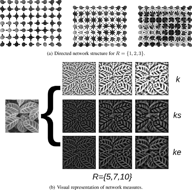 Figure 1 for Learning Local Complex Features using Randomized Neural Networks for Texture Analysis