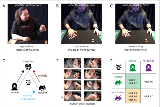 Figure 1 for Playing magic tricks to deep neural networks untangles human deception