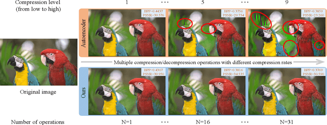 Figure 1 for High-Fidelity Variable-Rate Image Compression via Invertible Activation Transformation