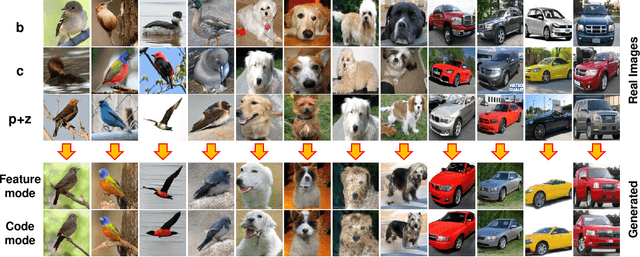 Figure 4 for MixNMatch: Multifactor Disentanglement and Encoding for Conditional Image Generation