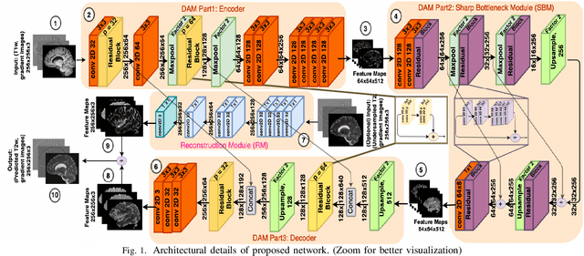 Figure 1 for Semantic Features Aided Multi-Scale Reconstruction of Inter-Modality Magnetic Resonance Images