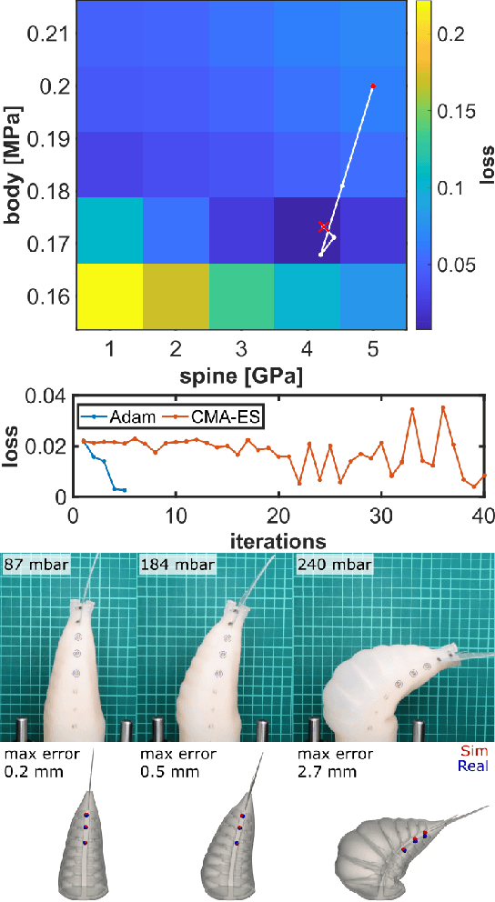 Figure 4 for Learning Material Parameters and Hydrodynamics of Soft Robotic Fish via Differentiable Simulation