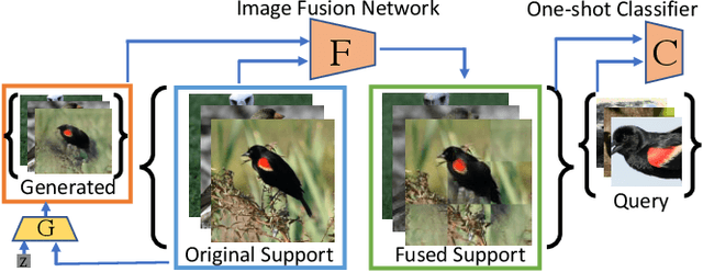 Figure 1 for Reinforcing Generated Images via Meta-learning for One-Shot Fine-Grained Visual Recognition