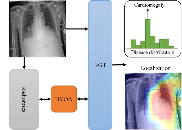 Figure 1 for Radiomics-Guided Global-Local Transformer for Weakly Supervised Pathology Localization in Chest X-Rays