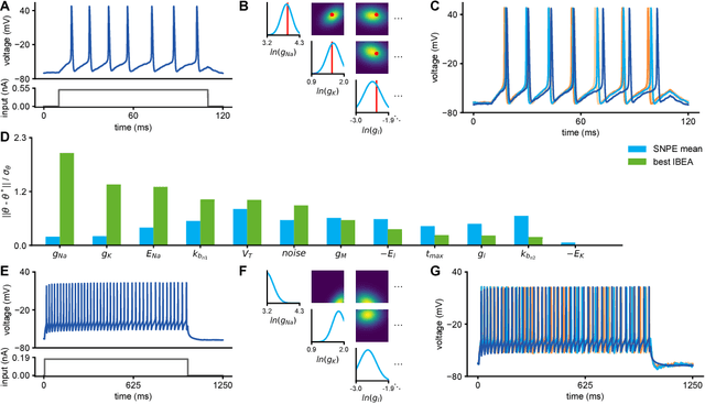 Figure 3 for Flexible statistical inference for mechanistic models of neural dynamics