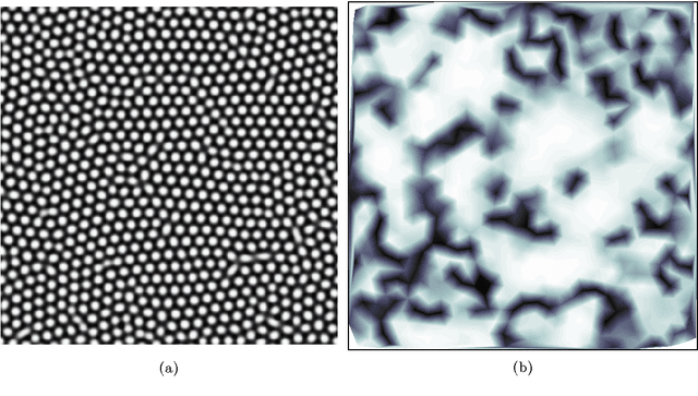 Figure 1 for Theory and Application of Shapelets to the Analysis of Surface Self-assembly Imaging