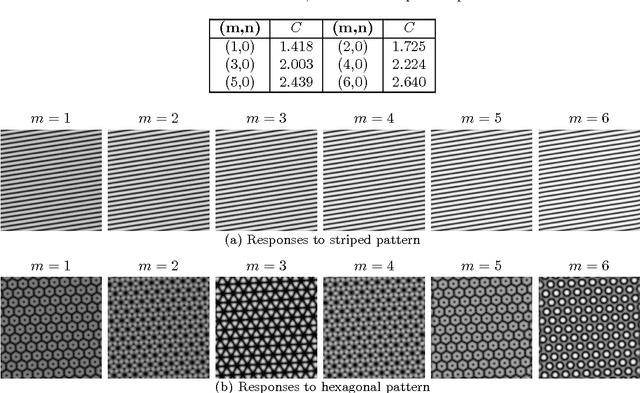 Figure 2 for Theory and Application of Shapelets to the Analysis of Surface Self-assembly Imaging