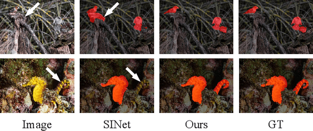 Figure 1 for Camouflaged Object Segmentation with Distraction Mining