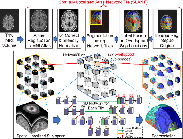 Figure 1 for Spatially Localized Atlas Network Tiles Enables 3D Whole Brain Segmentation from Limited Data