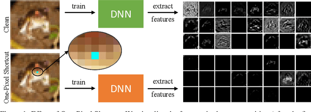 Figure 1 for One-Pixel Shortcut: on the Learning Preference of Deep Neural Networks