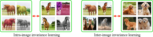 Figure 1 for Delving into Inter-Image Invariance for Unsupervised Visual Representations