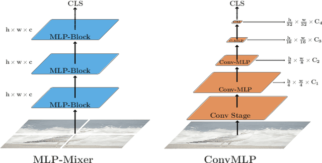 Figure 1 for ConvMLP: Hierarchical Convolutional MLPs for Vision