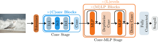 Figure 3 for ConvMLP: Hierarchical Convolutional MLPs for Vision