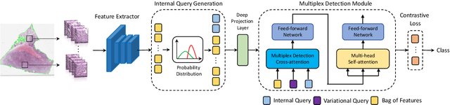 Figure 1 for Multiplex-detection Based Multiple Instance Learning Network for Whole Slide Image Classification