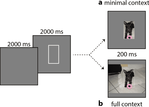 Figure 1 for Learning Scene Gist with Convolutional Neural Networks to Improve Object Recognition