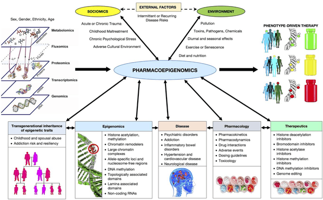 Figure 1 for Deep Learning in Pharmacogenomics: From Gene Regulation to Patient Stratification