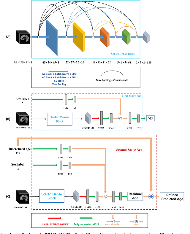 Figure 2 for Brain Age Estimation From MRI Using Cascade Networks with Ranking Loss