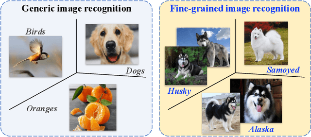 Figure 1 for Deep Learning for Fine-Grained Image Analysis: A Survey