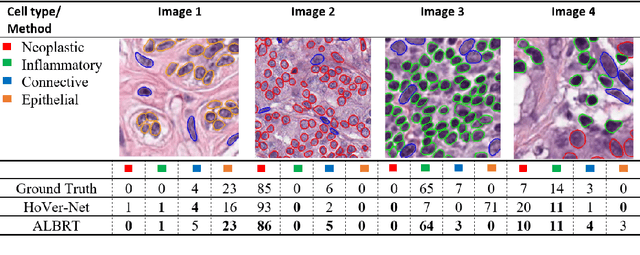 Figure 3 for ALBRT: Cellular Composition Prediction in Routine Histology Images