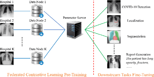 Figure 1 for Federated Contrastive Learning for Decentralized Unlabeled Medical Images