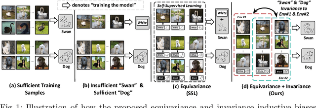 Figure 1 for Equivariance and Invariance Inductive Bias for Learning from Insufficient Data