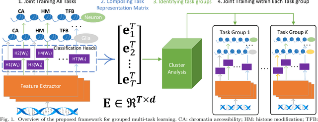 Figure 1 for Highly Scalable Task Grouping for Deep Multi-Task Learning in Prediction of Epigenetic Events